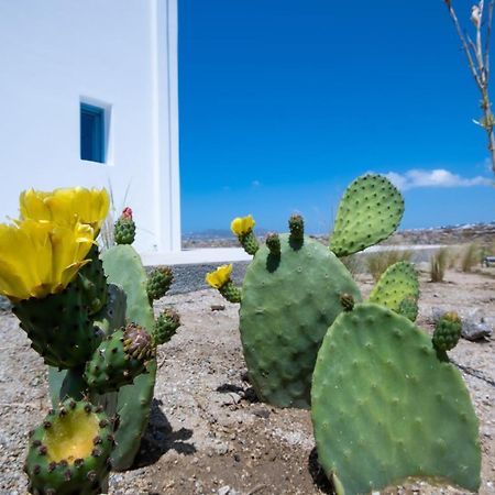 Lilly Villa By Bestofmikonos Ornos  Exterior foto